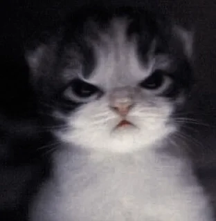 😡 emoji хуйня Telegram sticker 17 of 44
