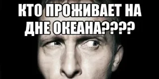 🥴 emoji кислинка вид сверху Telegram sticker 15 of 117