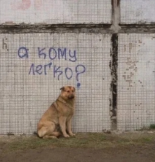 🚬 emoji Суета Telegram sticker 16 of 22