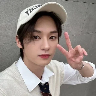 🌟 emoji LeeMinhos Telegram sticker 18 of 23