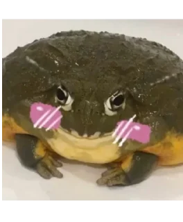 ☺️ emoji Frog for Masha Telegram sticker 12 of 62