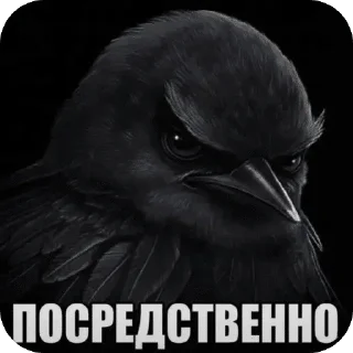 🌟 emoji Чёрные птички Telegram sticker 19 of 90