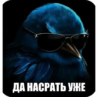🖼 emoji Синие птички Telegram sticker 9 of 120