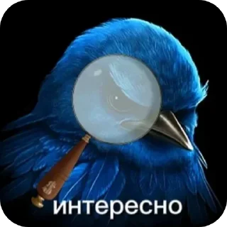 🪐 emoji Синие птички Telegram sticker 18 of 120
