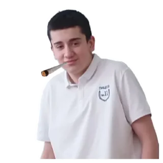 🚬 emoji элита Telegram sticker 21 of 81