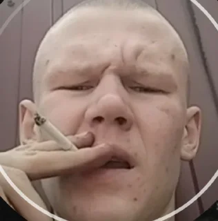🚬 emoji сеня Telegram sticker 3 of 49