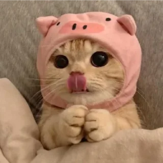 😝 emoji cats Telegram sticker 18 of 46