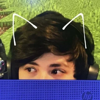 😼 emoji dream smp Telegram sticker 22 of 88