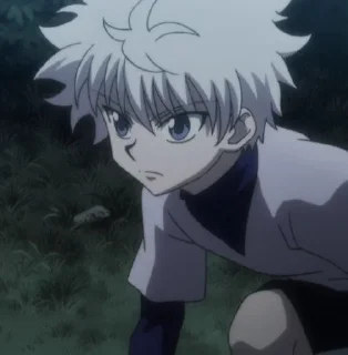 🌟 emoji hunterXhunter Telegram sticker 5 of 120