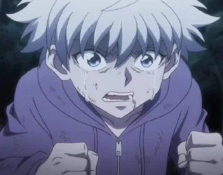 🌟 emoji hunterXhunter Telegram sticker 19 of 120