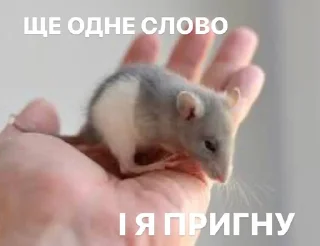 🙄 emoji Длинные мыши Telegram sticker 6 of 17