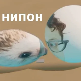 📦 emoji флоптоп @any_stick @emojis4 Telegram sticker 19 of 120