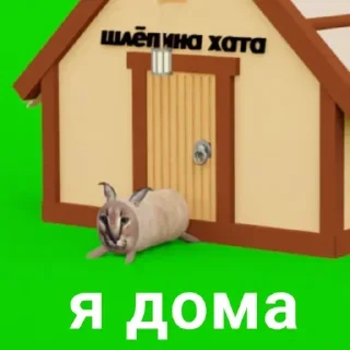 📦 emoji флоптоп @any_stick @emojis4 Telegram sticker 10 of 120