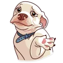 🤷 emoji Moar Dog Memes Telegram sticker 13 of 40