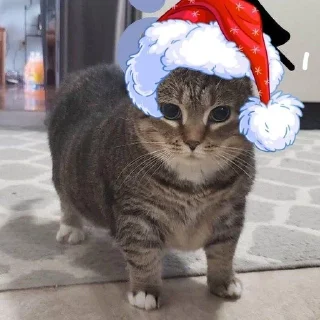 😼 emoji Новый год Telegram sticker 8 of 20