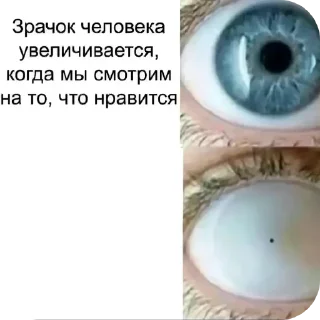 👍 emoji Пизда Telegram sticker 21 of 100