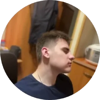 👎 emoji Тот самый Даня 2.0 Telegram sticker 24 of 37