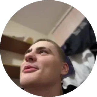 🤣 emoji Тот самый Даня 2.0 Telegram sticker 10 of 37