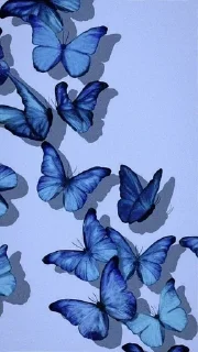 💙 emoji Попа Telegram sticker 13 of 64