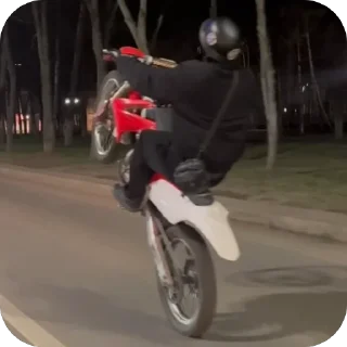 🫥 emoji Жуки Street :: by Kuzimaka Telegram sticker 24 of 45