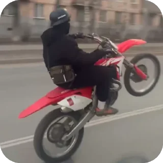 🫥 emoji Жуки Street :: by Kuzimaka Telegram sticker 12 of 45