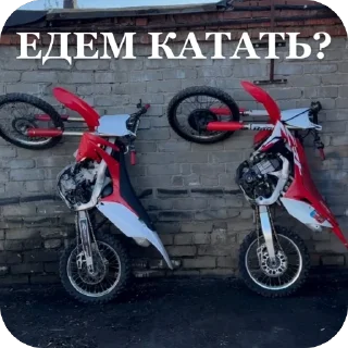 🫥 emoji Жуки Street :: by Kuzimaka Telegram sticker 18 of 45