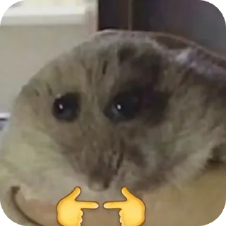 🐱 emoji А чё? Telegram sticker 17 of 19