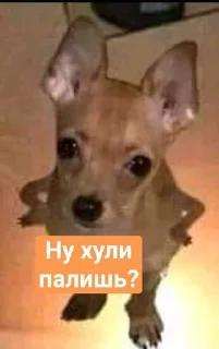 👺 emoji Синий чел (by @tayaays) Telegram sticker 6 of 18