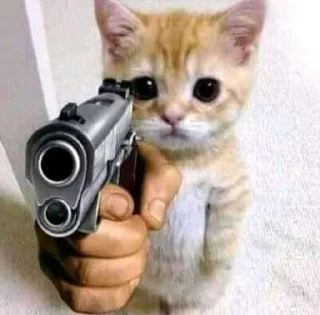 🔫 emoji Funny Cats 😹 Telegram sticker 22 of 24
