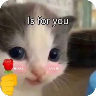 🌟 emoji kitties Telegram sticker 17 of 50