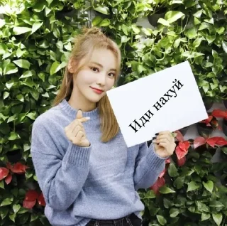 Sticker from Кпоп с табличками @darlistq