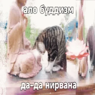 🌟 emoji Буддизм @kyro_fxm Telegram sticker 23 of 49