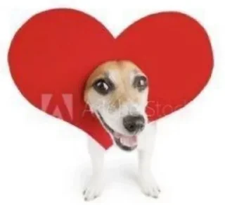 ❤️ emoji алексекс Telegram sticker 7 of 39