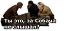 😂 emoji Бумер :: @animesticks Telegram sticker 22 of 41