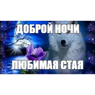 💤 emoji ДВС НАХУЙ Telegram sticker 19 of 115