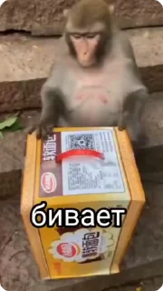 🌟 emoji Манки Telegram sticker 10 of 16