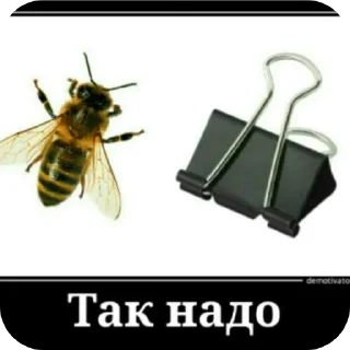🐞 emoji Алексей стремянка Telegram sticker 17 of 66