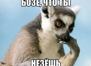 😀 emoji Енот Telegram sticker 10 of 94