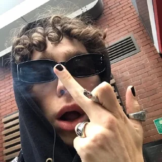 🖕 emoji vldchr Telegram sticker 6 of 80