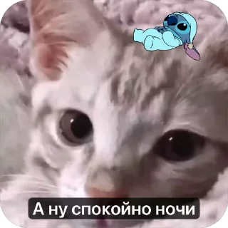 😔 emoji Ебать некит наклепал херни Telegram sticker 22 of 107