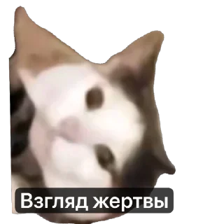 🫥 emoji Ебать некит наклепал херни Telegram sticker 8 of 107