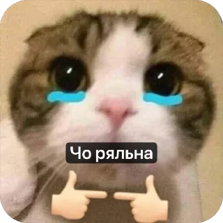 🌟 emoji Ебать некит наклепал херни Telegram sticker 15 of 107