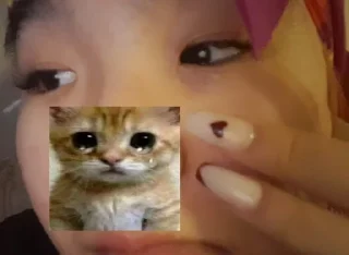 🥺 emoji эрика Telegram sticker 17 of 65