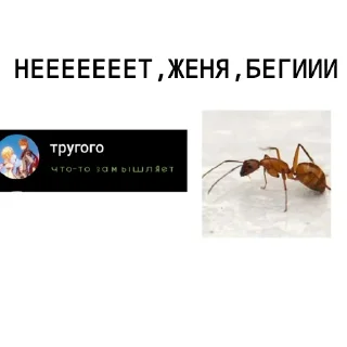 Sticker from Чилипиздрия – отдельный фандом
