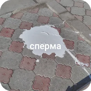 🧱 emoji жопка Telegram sticker 22 of 61