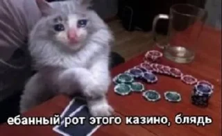 🌟 emoji срань господня Telegram sticker 18 of 27