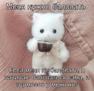 Sticker from смешнявки с пинтереста ⛄️ б/у エンヂアイ