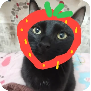 🐱 emoji ОРБИСКА @stickrubot Telegram sticker 20 of 57