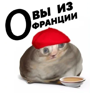 😂 emoji ты хуйло 3.0 Telegram sticker 10 of 120