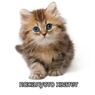 ❌ emoji хуета Telegram sticker 22 of 48